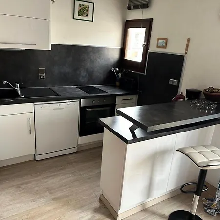 La Baie De Memard - Idealement Situe Sur Les Bords Du D'aix Les Bains ! Mae-6494 * Aix-les-Bains